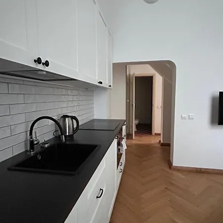 Appartement Historic Embassy 1 Kaunas